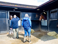 PN030422-198 - Paul Nicholls Stable Visit